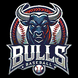 SHIBATA BULLS